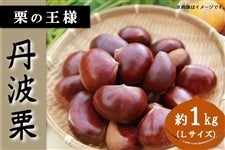 <font color="blue"><b>y\tz</b></font><font color="orangered"><b>zNzN󏭂ȁuOgIv</font>
<font color="#169179">9{`10{oח\I</b></font>

