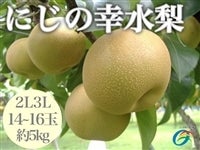 <font color="lawngreen" size="4">wJAɂ̍Kx</font><font color="gold" size="4">TOP[X\̔JnII</font><br>