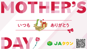 <font color=navy size=3>̓J[hY53珇܂<br></font><u><strong>
<a href="https://www.ja-town.com/shop/c/c9805/
  ">u̓Wv̓R`</a></strong></u>