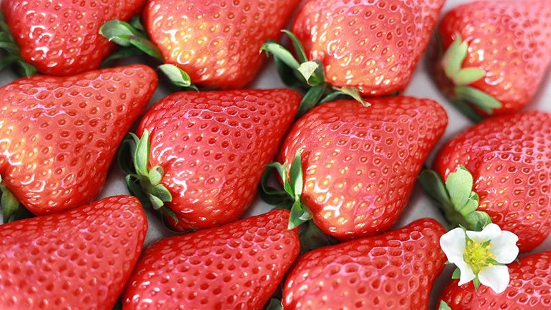 ��ʌ��I���W�i���������w���܂��x�Â݂����Ղ�I�Y�n�����ł��͂��I
JA�^�E���Ŕ̔����I