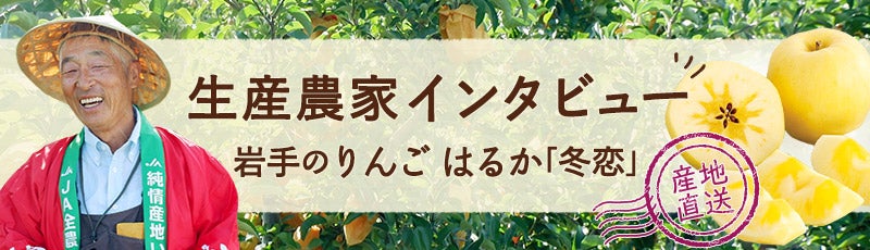 Y҃C^r[u~v 