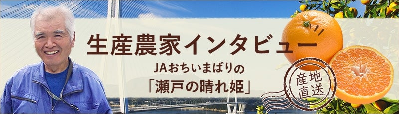 Y҃C^r[u˂̐Pv
