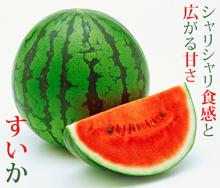 すいか|JAタウン