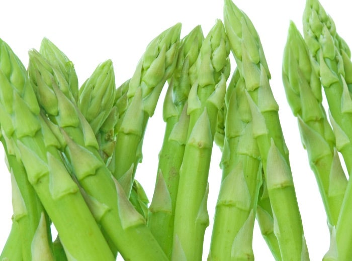 �A�X�p���K�X