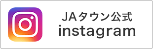 JA^E instagram