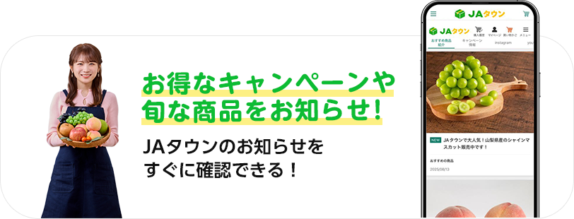 ȃLy[{ȏim点I