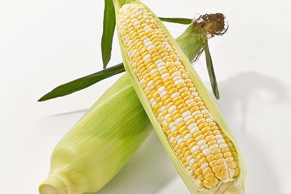 1ʏiC