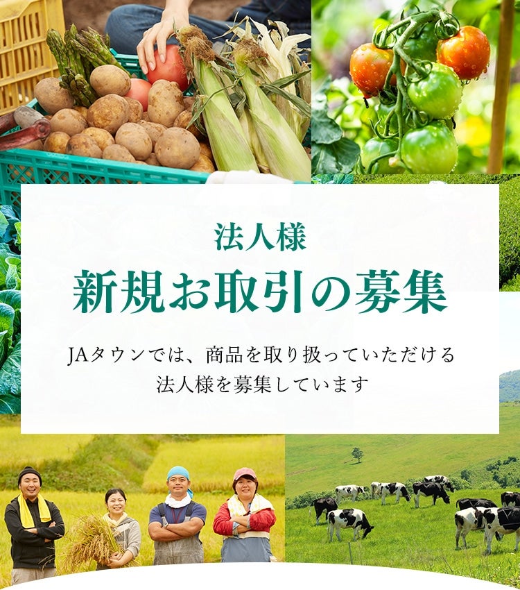 法人様新規お取引の募集 JAタウンでは、商品を取り扱っていただける法人様を募集しています
