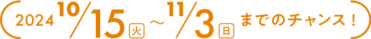 2024N1015i΁j`113ij܂ł̃`XI