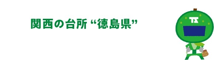 ֐̑䏊g