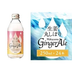 Iۂڂ@Wakayama GingerAle