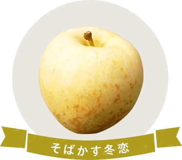 産地直送 通販 お取り寄せ 生産農家インタビュー りんご 冬恋 ふゆこい ｊａタウン