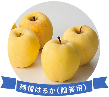 ����͂邩�i�����p�j