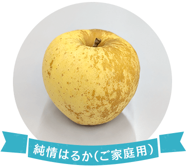 ����͂邩�i���ƒ�p�j