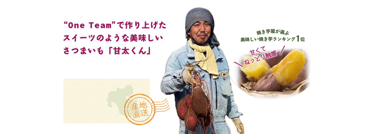 生産農家インタビュー さつまいも（甘太くん）【JAタウン】産地直送