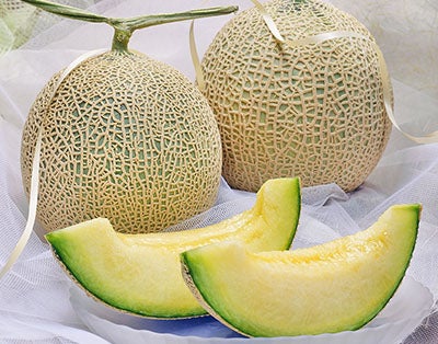 �t���[�c�����