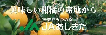 �i�`��������