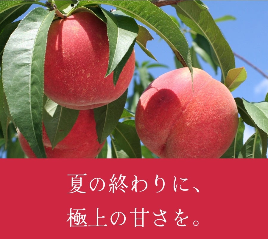 Hc@Â̖k̓i쒆j