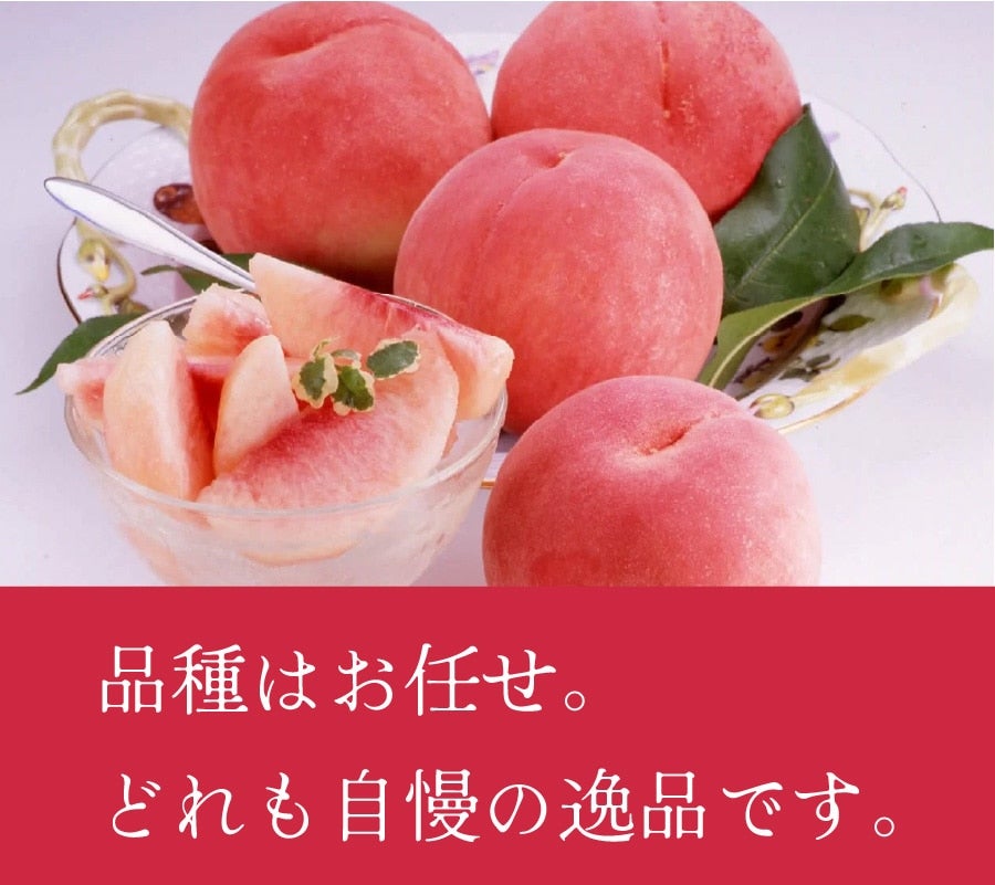 @JA}O̓