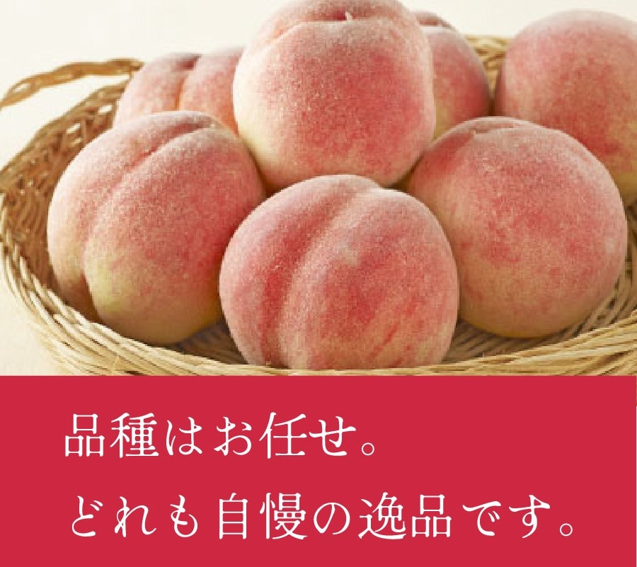 @JAӂ̓