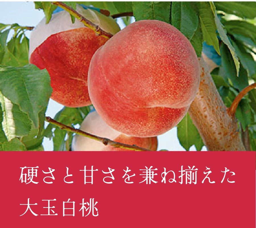 @甒