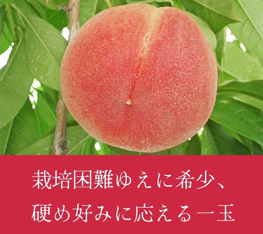 @䂤