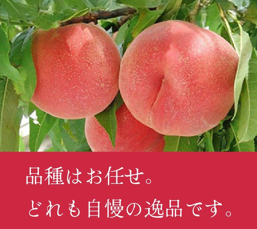 쌧@̓