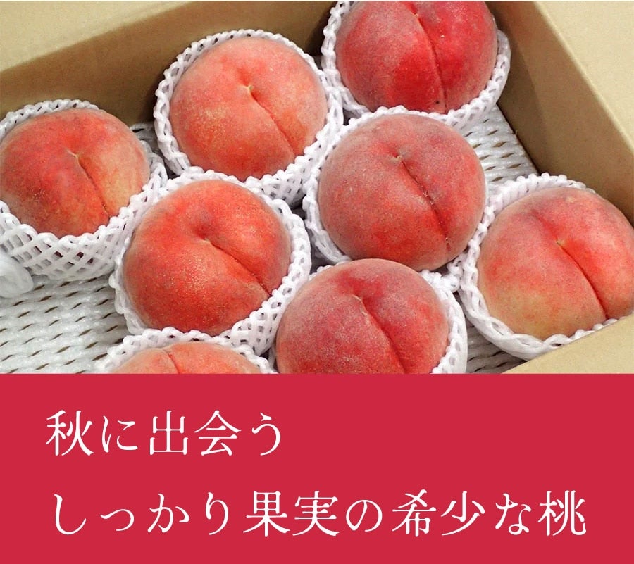 쌧@iځj