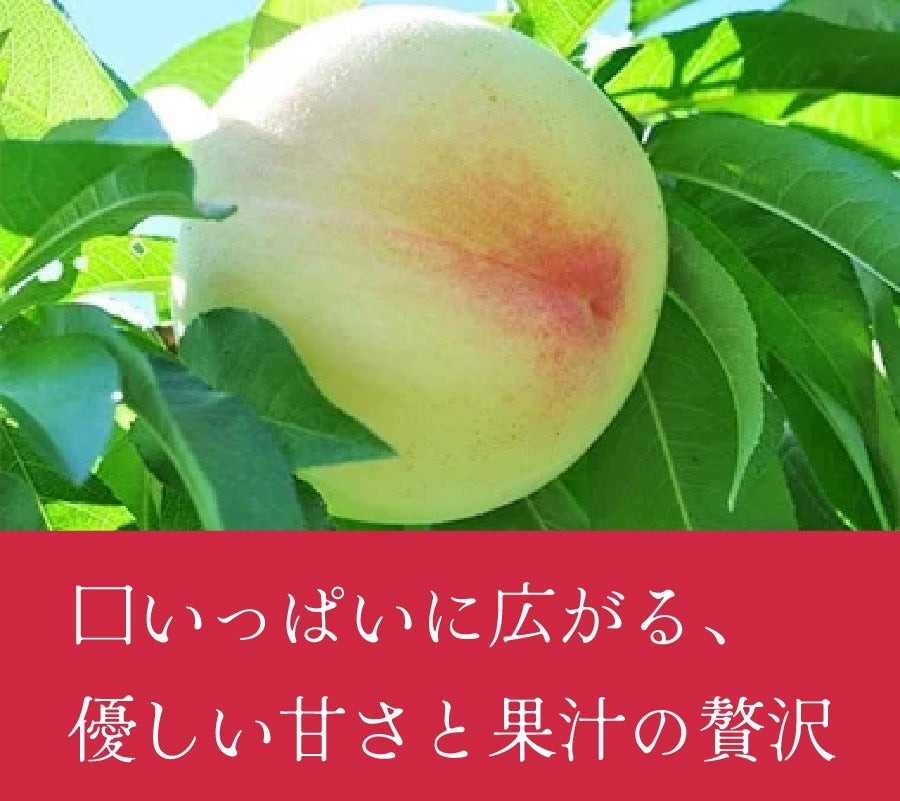 R@픒P