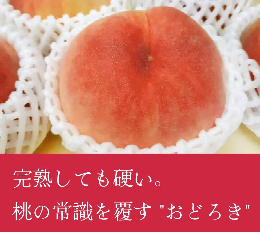 啪@ǂ낫