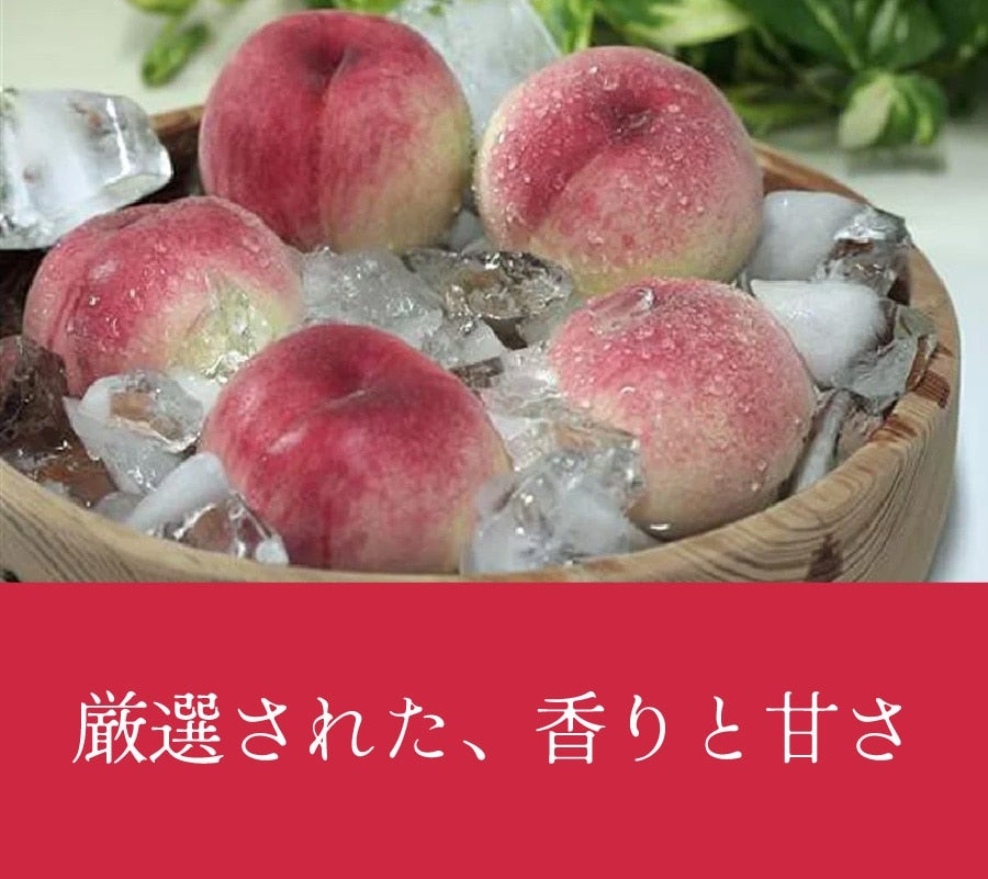 a̎R@P