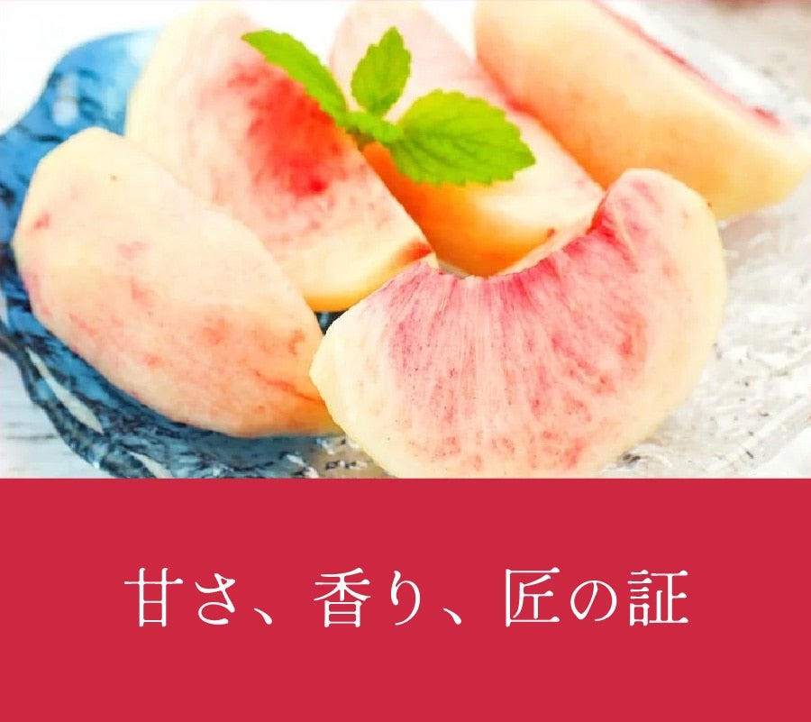 a̎R@Pi̓j