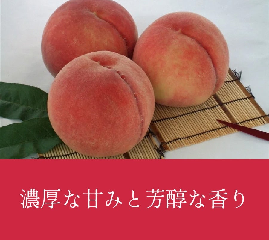 a̎R@쒆