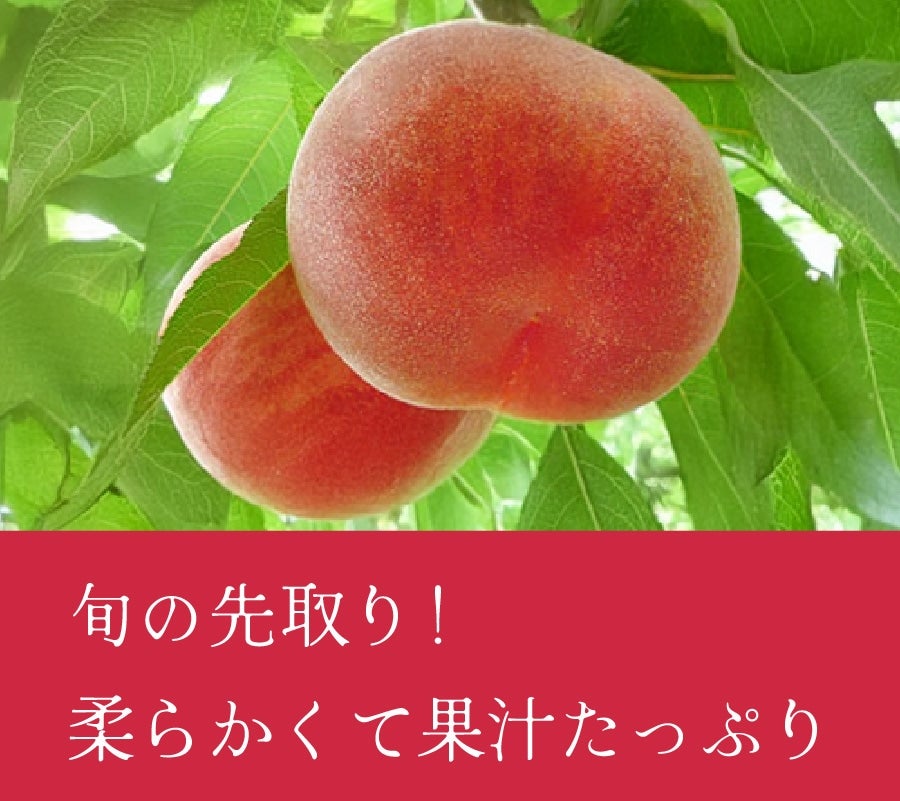 R@씒P