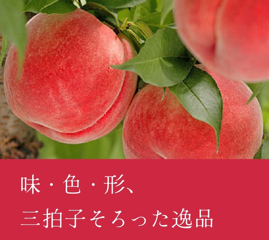R@쒆
