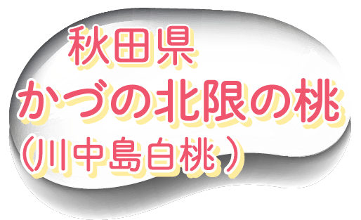 oFHc@Â̖k̓i쒆j