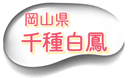 oFR@픒P