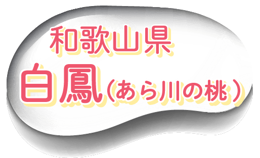 oFa̎R@Pi̓j