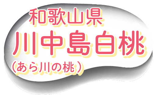 oFa̎R@쒆i̓j