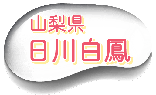 oFR@씒P