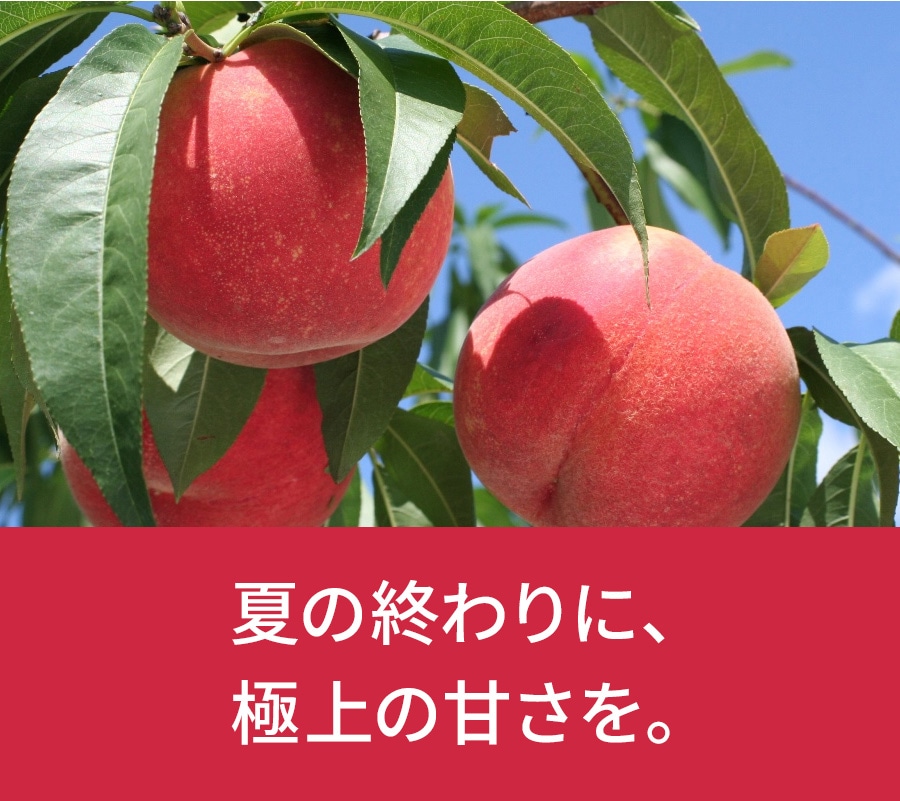 �H�c���@���Â̖k���̓��i�쒆�������j