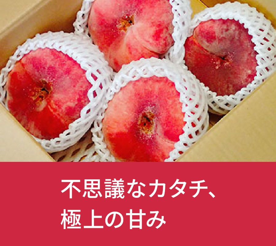 ���쌧�@崓��i�΂�Ƃ��j
