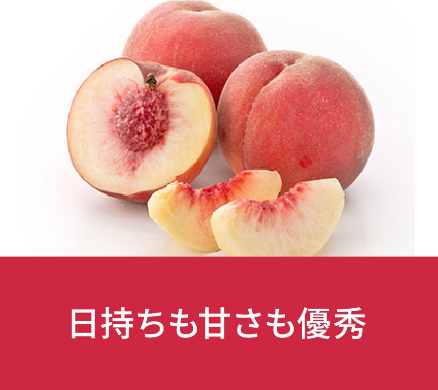 ���쌧�@�쒆������