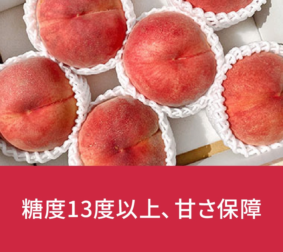���쌧�@�P�X���i�L���L�������j