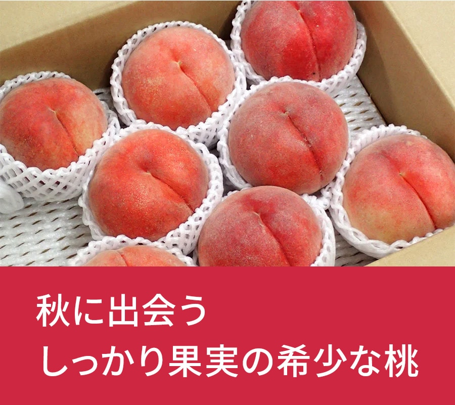 ���쌧�@������i���������ځj