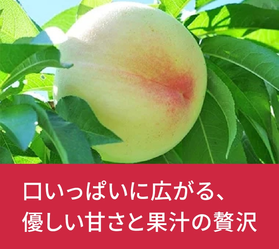���R���@��픒�P