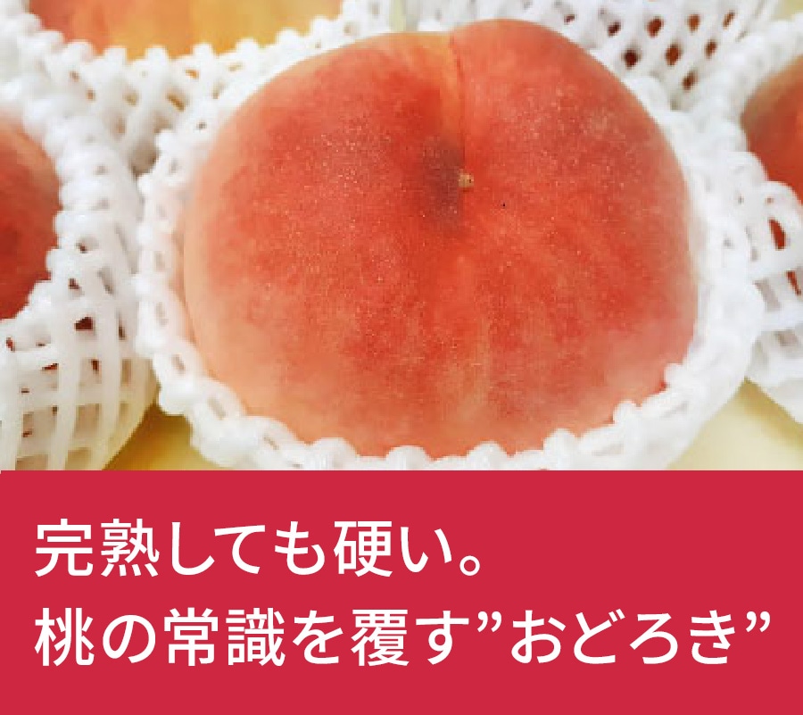 �啪���@���ǂ낫