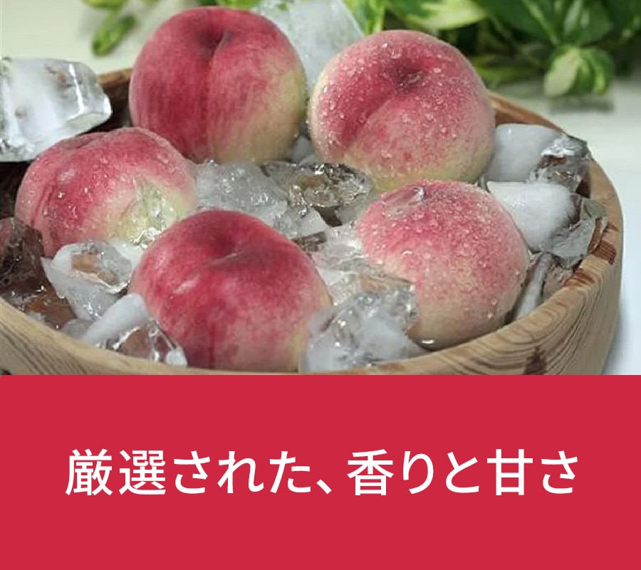 �a�̎R���@���P