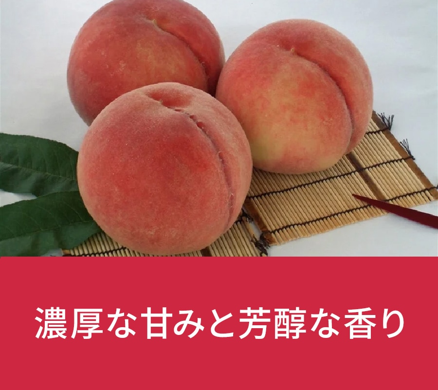 �a�̎R���@�쒆������