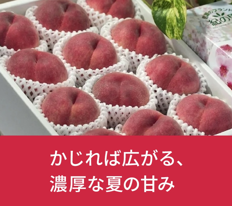 �a�̎R���@�Ȃ���